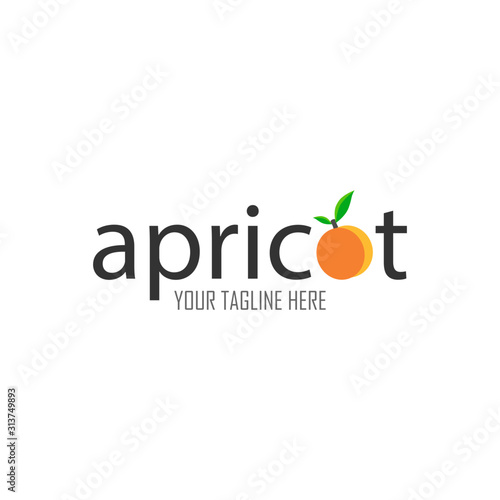 apricot logo design with decoral apricot and text. Design concept, logotype element for template. Vector illustration isolated on white background.