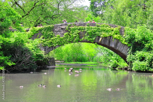 Central Park Bridge