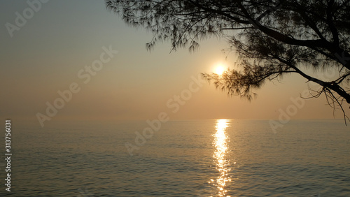 Silhouette pine tree beside the sea with sunrise sky on the morning.