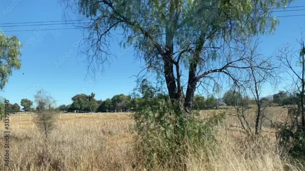 landscape of crops and trees going thru 4k landscape of crops and trees going thru 4k