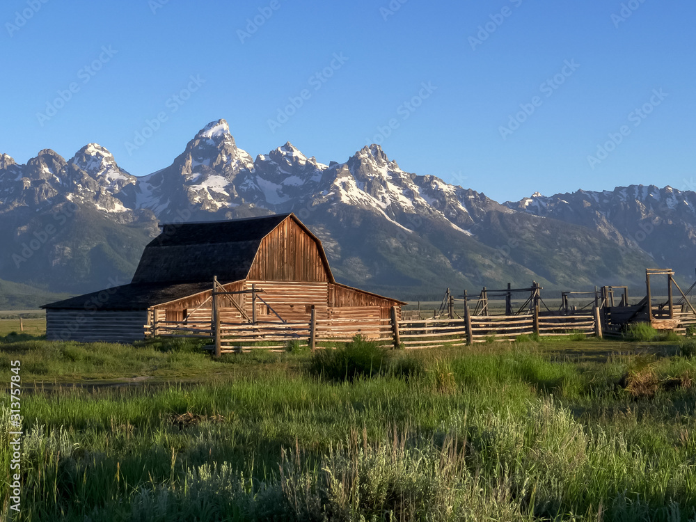 early morning view of a mormon row barn and grand teton mountain in wyoming