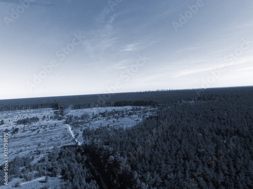 Deforestation. Ecology of Ukrane.The fate of the felled pine forest. Ukraine is increasing timber exports to the European Union after the 2014 coup. (drone image). Near Kiev,Ukraine
