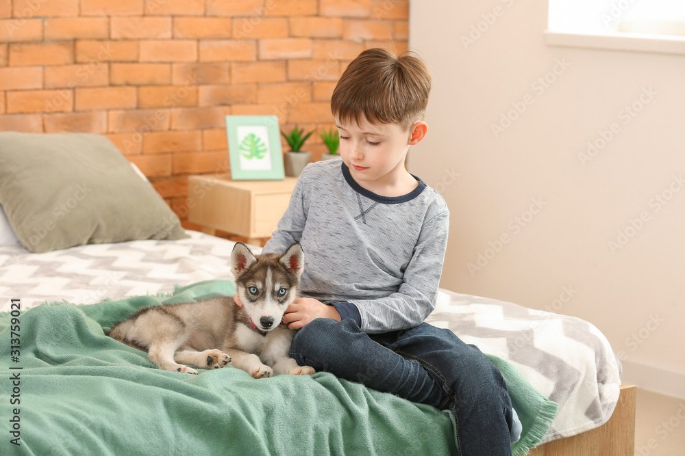 Little boy with cute husky puppy in bedroom Little boy with cute husky puppy in bedroom