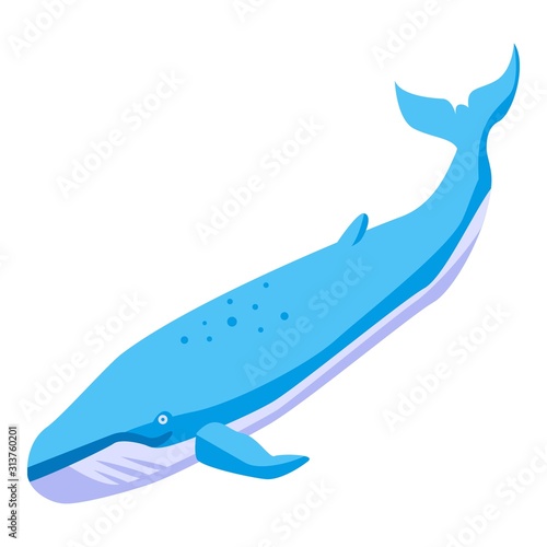 Sea whale icon. Isometric of sea whale vector icon for web design isolated on white background