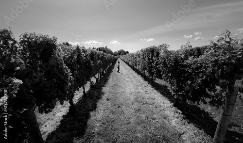 Photography photos from toronto canada