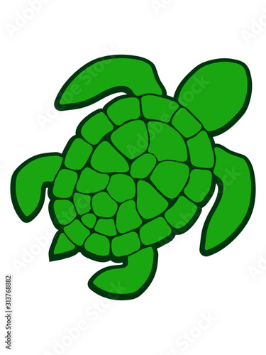 Clipart Design Meeresschildkröte 