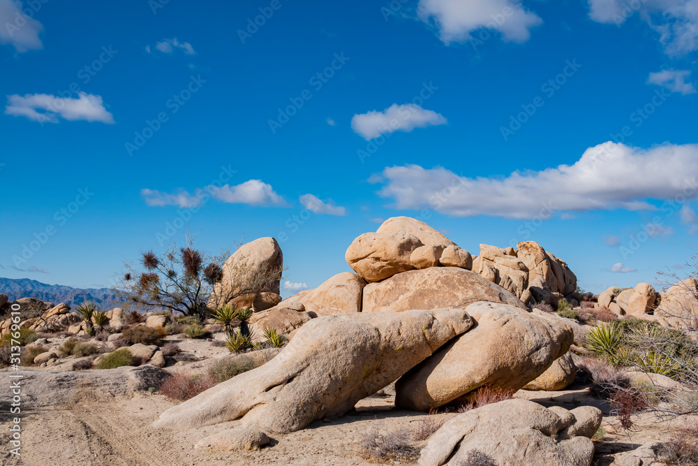 Sunny beautiful landscpe of the Knob Hill Spring Sunny beautiful landscpe of the Knob Hill Spring