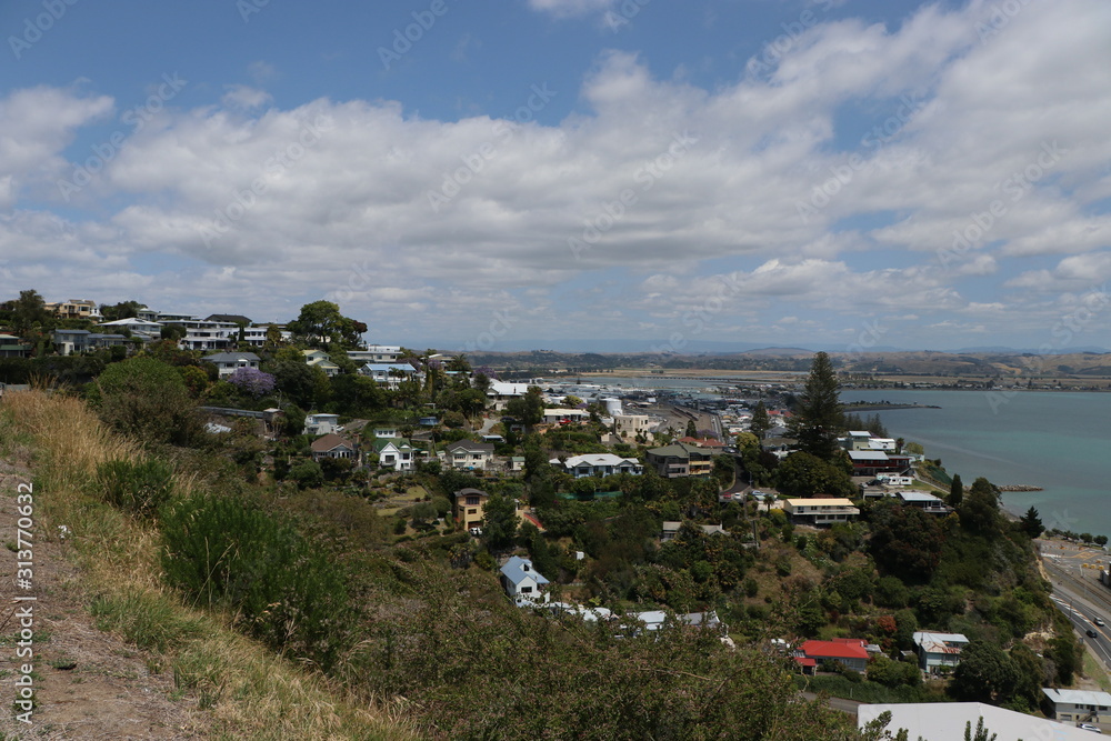 Fototapeta premium Napier port New Zealand