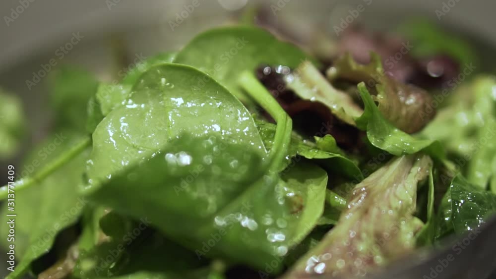 Macro shot of a fresh green salad that is placed in a metal bowl. Ready to serve. Macro shot of a fresh green salad that is placed in a metal bowl. Ready to serve.