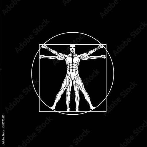 Leonardo da vinci vitruvian man vector