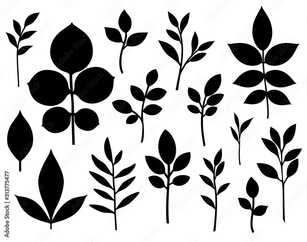 Set of decorative leaf silhouette. Different vector branches. Simple stencils - obrazy, fototapety, plakaty 