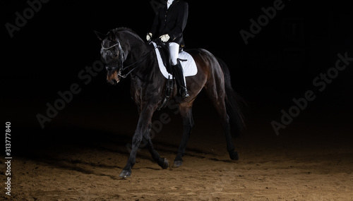 Fototapeta Naklejka Na Ścianę i Meble -  Dressage horse with rider trotting (floating phase) from right to left against a black background photographed with flash in the riding hall.