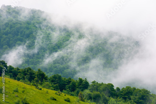 clouds rise above the forested forest