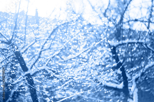 winter snow blurred background in park, branches covered with snow in classic blue trendy color. Color of the year 2020.