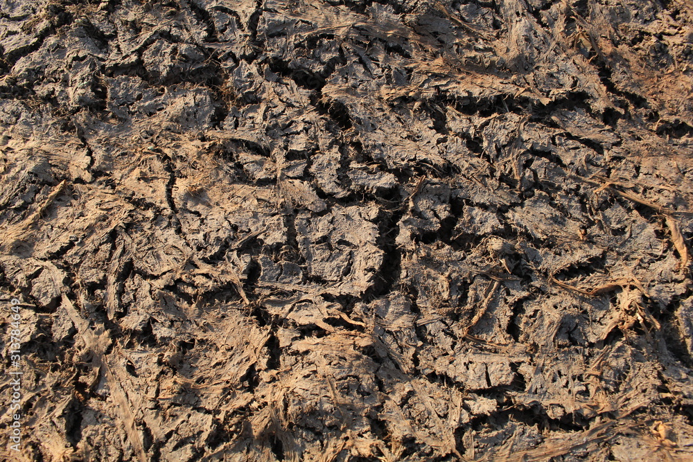 Land with dry cracked ground Land with dry cracked ground