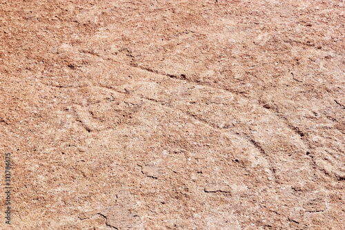 Petroglyph at the Campo Las Tobas a site with rock art in which the engravings were made on the ground, Argentina photo