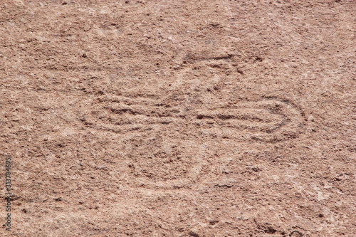Campo Las Tobas a site with rock art in which the engravings were made on the ground, Argentina photo