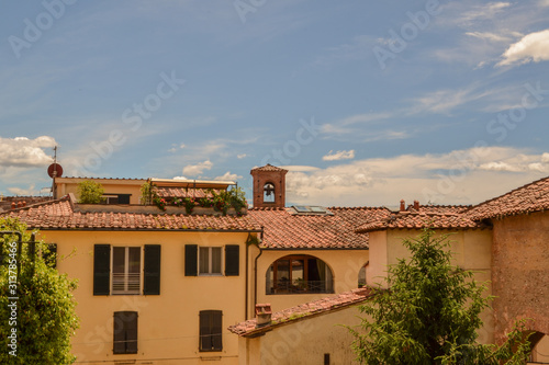 The view from the Lucca city wall