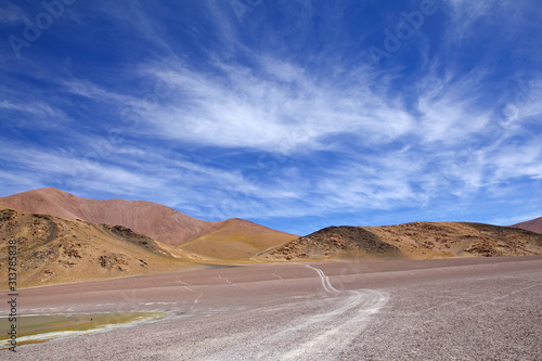 Trail at the Puna de Atacama, Argentina