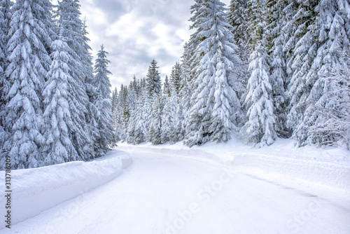 Winter landscape with with road and fir trees covered with snow