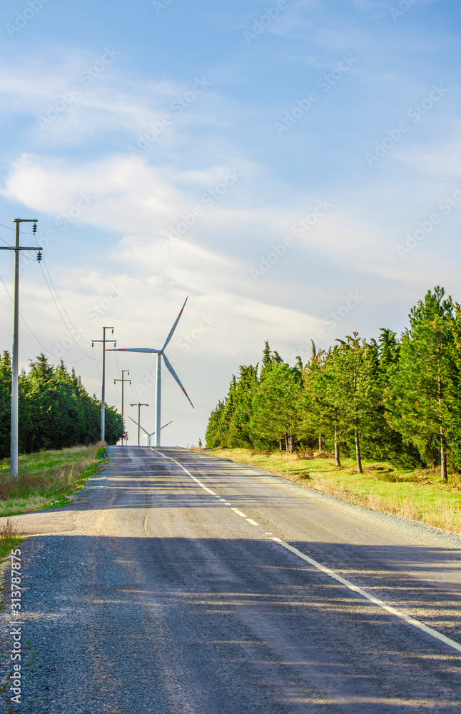 Suburban landscape. Windmills on side of asphalt road. Sunny summer day. Blue sky with white clouds. Green forest along road. Alternative energy unity with nature concept. Copy space. Selective focus.