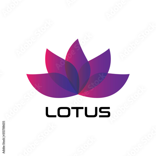 Fototapeta Naklejka Na Ścianę i Meble -  Beauty LOTUS flower vector design logo Template icon
