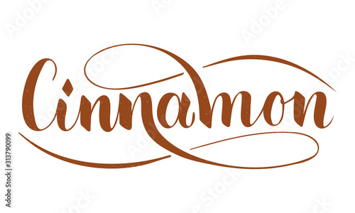 Vector hand written cinnamon text isolated on white background. Kitchen healthy herbs and spices for cooking. Script brushpen lettering with flourishes. Handwriting for banner, poster, product label