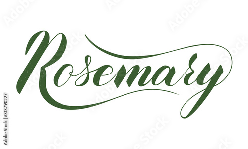 Vector hand written rosemary text isolated on white background. Kitchen healthy herbs and spices for cooking. Script brushpen lettering with flourishes. Handwriting for banner, poster, product label