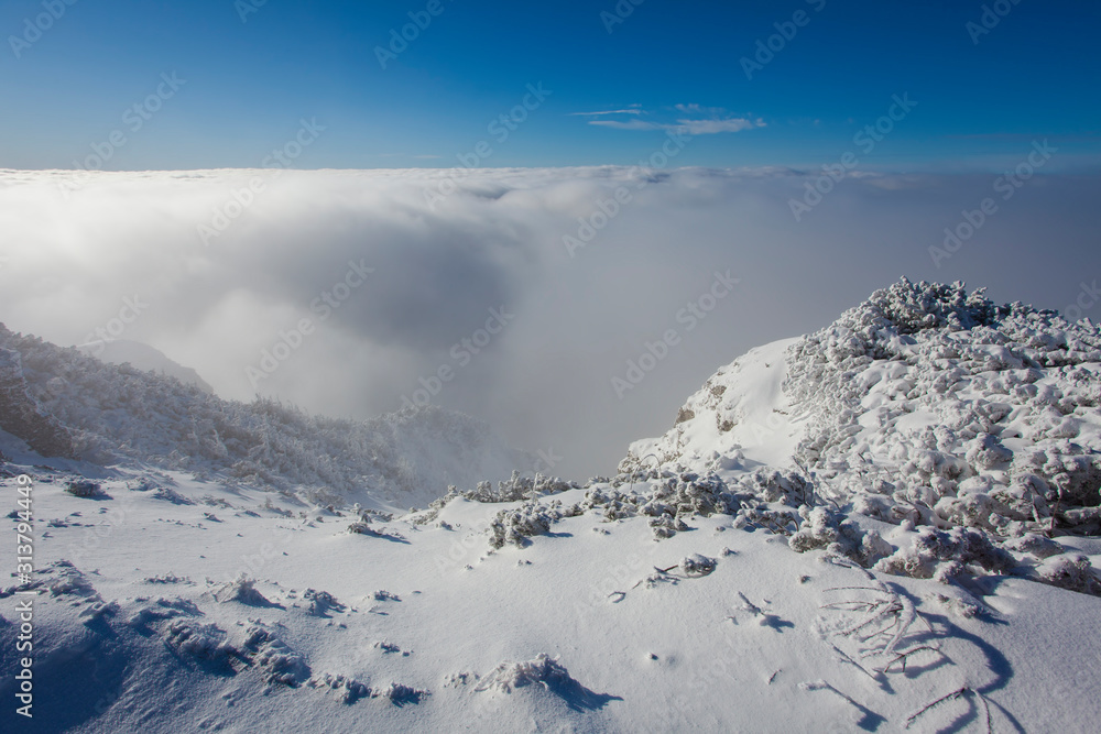 Fototapeta premium winter landscape in Romania. Ceahlau mountain
