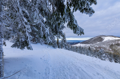 Fototapeta Naklejka Na Ścianę i Meble -  Beskid Zywiecki. Winter in Poland. Captured during trekking on the way to Rysianka, near Zabnica village. Snowy Winter Mountains.