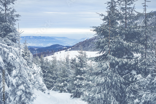 Fototapeta Naklejka Na Ścianę i Meble -  Beskid Zywiecki. Winter in Poland. Captured during trekking on the way to Rysianka, near Zabnica village. Snowy Winter Mountains.