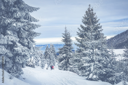 Fototapeta Naklejka Na Ścianę i Meble -  Beskid Zywiecki. Winter in Poland. Captured during trekking on the way to Rysianka, near Zabnica village. Snowy Winter Mountains.