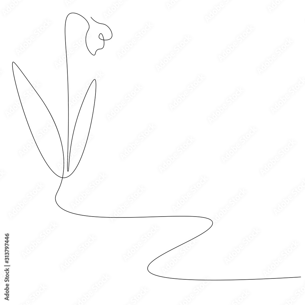 Snowdrop flower on white background, vector illustration Snowdrop flower on white background, vector illustration