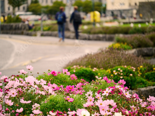 Flower bed in town in focus, Couple of people walking and town out of focus in the background.