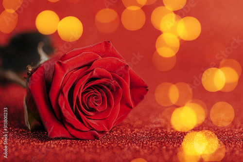 Red one Rose on shining red background with bokeh circles  Valentine s day  Mother s day. Glitter background.