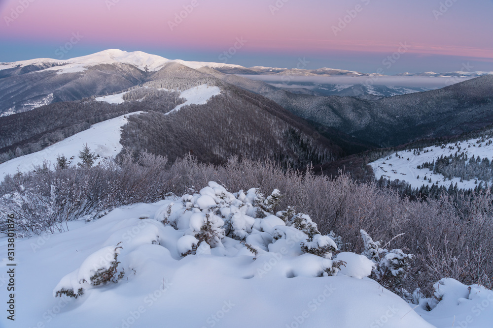 Beautiful pink morning in winter mountains