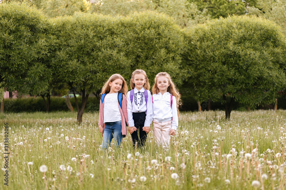 Fototapeta premium Sunny summer children are blowing dandelion flower