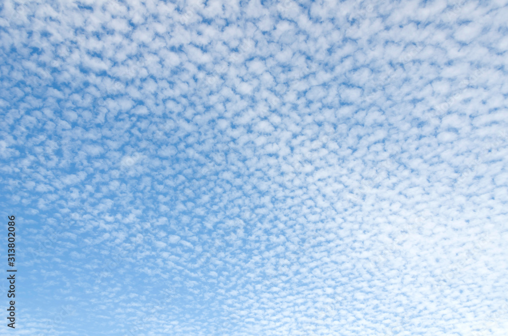 うろこ雲 うろこ雲