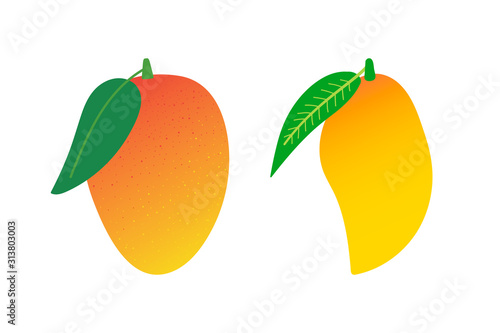 Set, collection of cute cartoon style vector fresh mango fruits.
