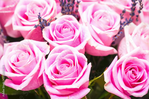 Bouquet of beautiful bright pink rose for background