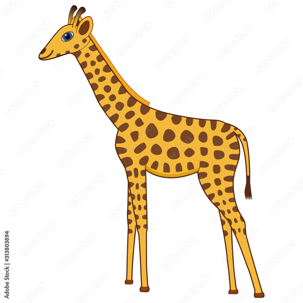 Cartoon giraffe drawing deals