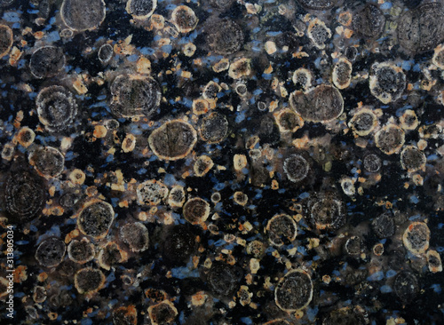 stone texture. black polished stone with spotty pattern © ninanaina