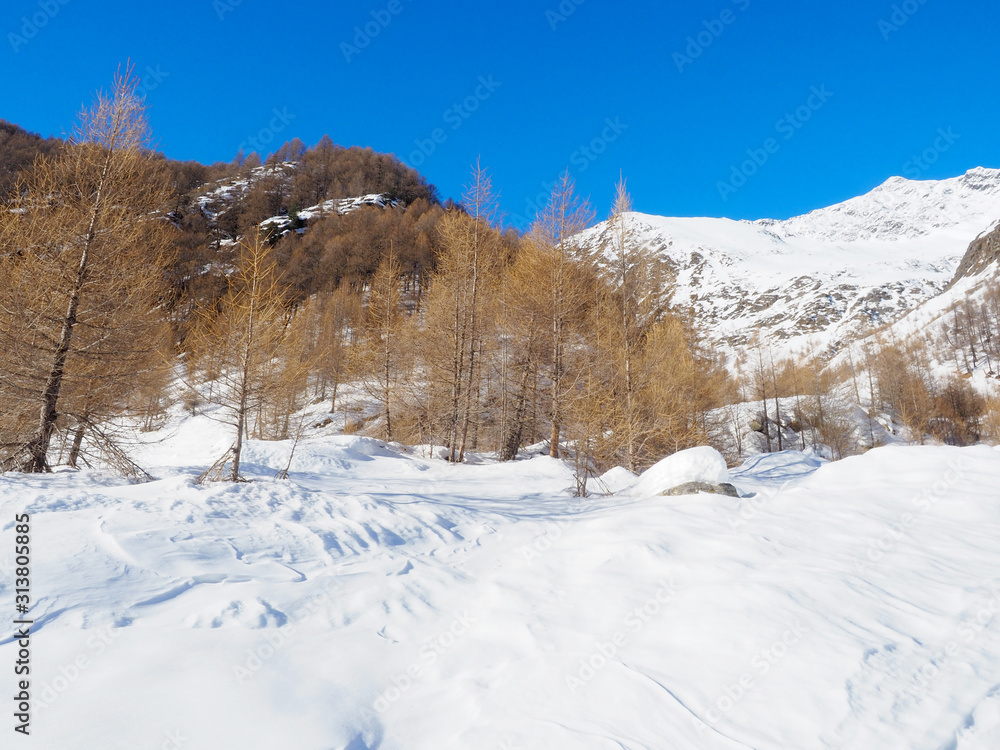 Winterlandschaft in Südtirol (Pfossental)