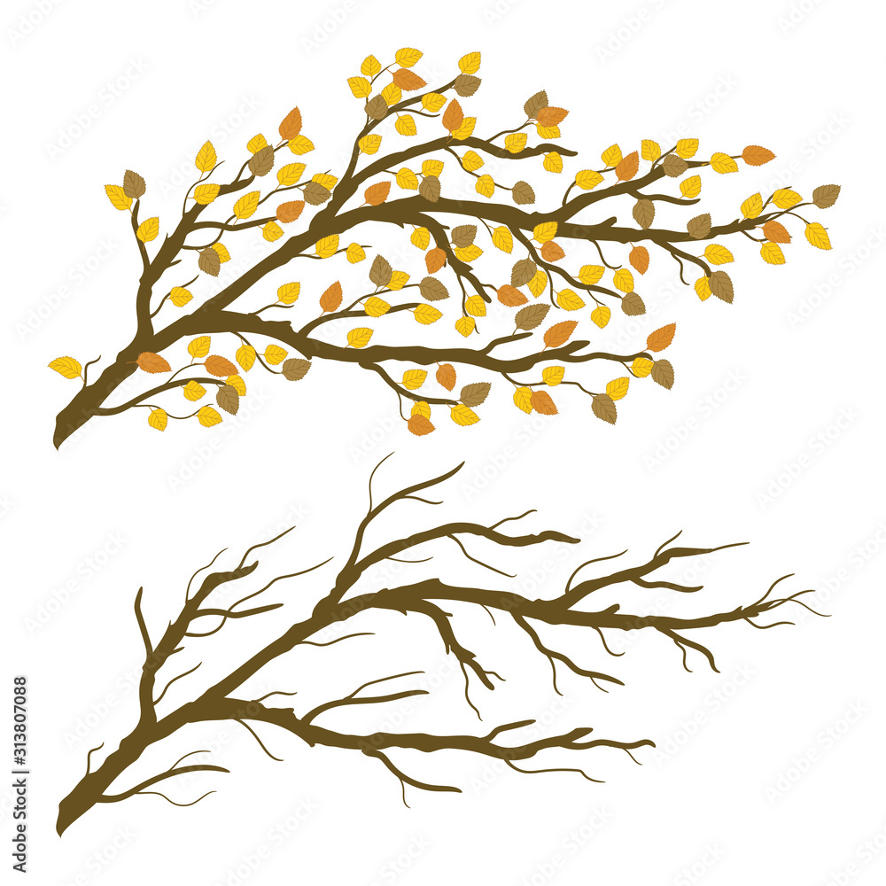 Tree branch with yellow leaves. Autumn and winter naked twigs. Vector graphic illustration isolated on transparent background. Artwork design element. Tree branch with yellow leaves. Autumn and winter naked twigs. Vector graphic illustration isolated on transparent background. Artwork design element.