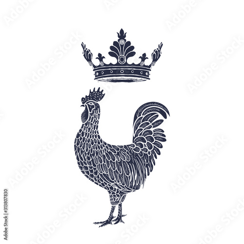 Hen or chicken with Crown hand drawn with contour lines on white background. Elegant monochrome drawing of domestic farm poultry bird. illustration in vintage woodcut, engraving or etching style