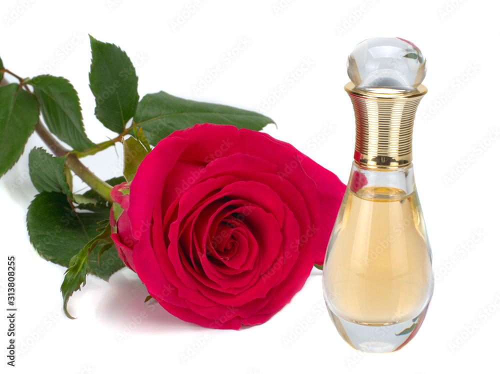 Women's perfume in beautiful bottle with a pink rose on white background Women's perfume in beautiful bottle with a pink rose on white background