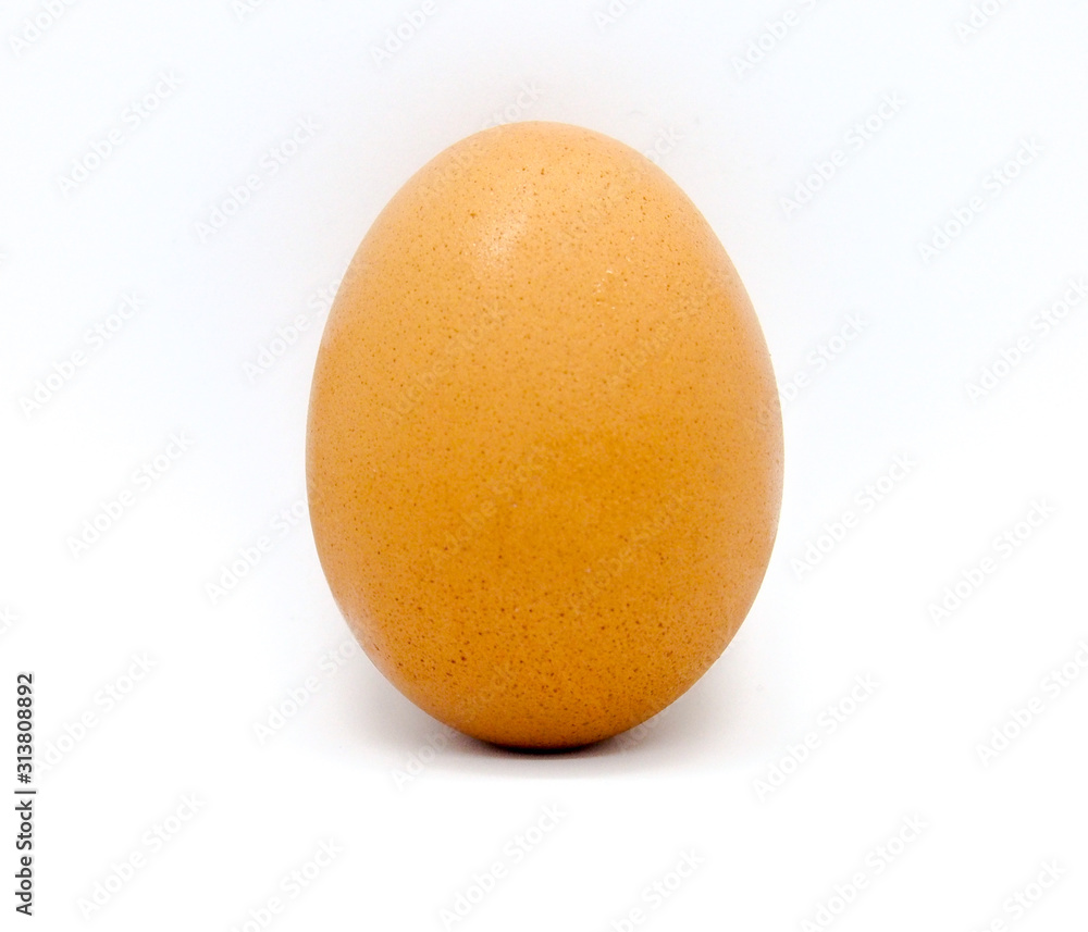 egg isolated on white background egg isolated on white background