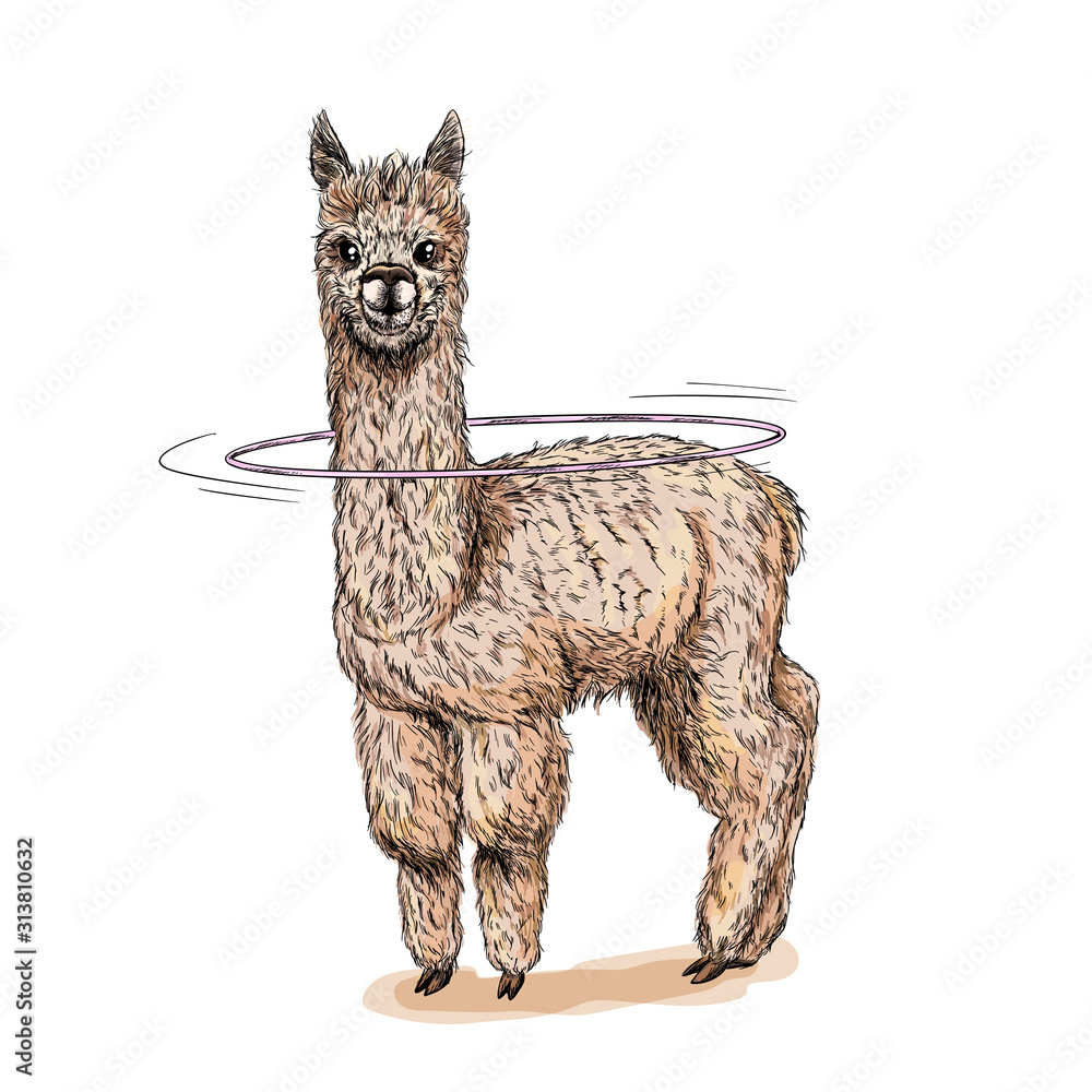 Cule alpaca with hula hoop on the neck, full color