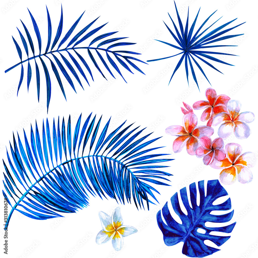 Tropical flowers and palm leaves. Watercolor.