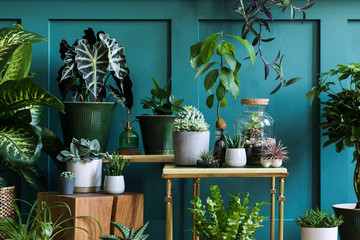 Stylish composition of home garden interior filled a lot of beautiful plants, cacti, succulents, air plant in different design pots. Green wall paneling. Template. Home gardening concept Home jungle.